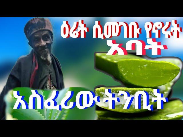 ዕሬት ሲመገቡ የኖሩት አባት አባ ኃይለ ማርያም ፀበላት ማርያም አስፈሪው ትንቢት