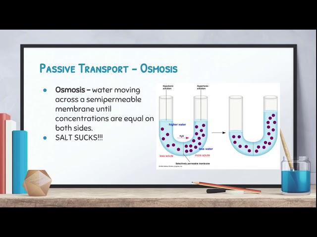 Biology: Video 3-4: Movement Through The Membrane