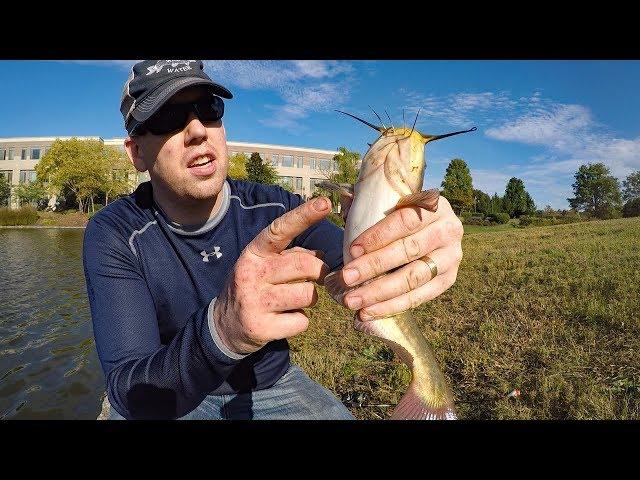 Pond Fishing for Bass Bullheads & Crappie - Fishing with shrimp and worms