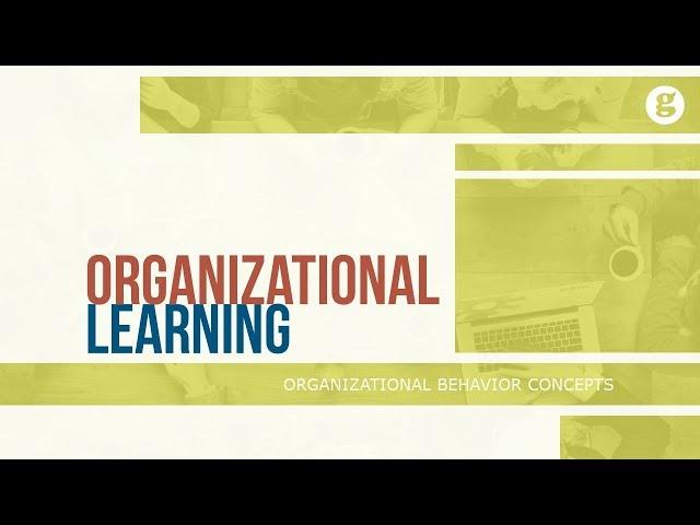 Organizational Learning