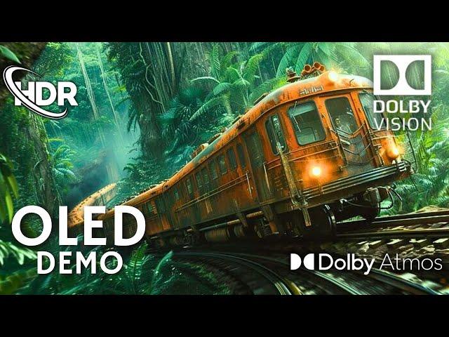 Captivating OLED Demo HDR, 4K 60FPS, Ultra HD, Dolby Atmos, Dolby Vision