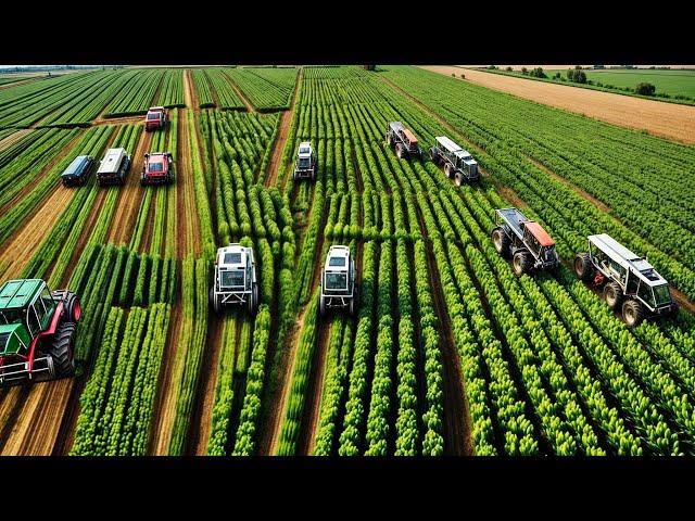 CHINA'S SMART CROP HARVESTING Revolutionizes Smart Farming