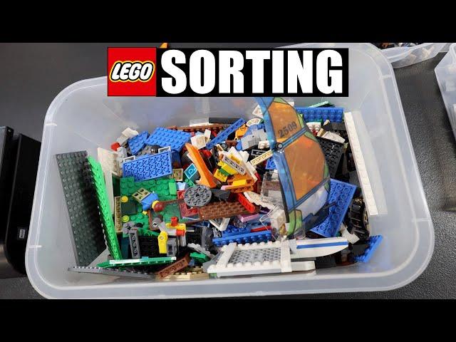 Sorting a 3lb LEGO Yard Sale Bin