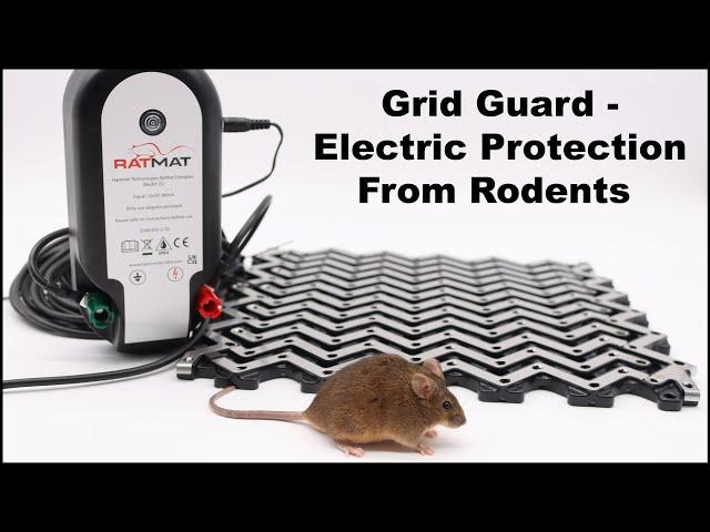 Testing Out The Grid Guard Electric Vehicle Rodent Protection System. Mousetrap Monday.