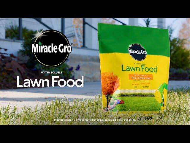 How To Use Miracle Gro Water Soluble Lawn Food