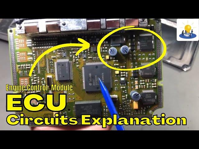 Engine Control Module (ECU) Circuits Working Explanation