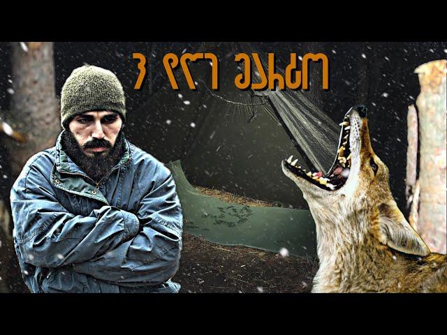 3 დღე ტყეში თოვლში და წვიმაში - ყველაზე საშიში ყმუილი ! !