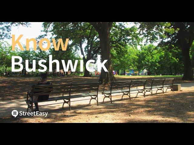 Guide to Bushwick, NYC | Know the Neighborhood