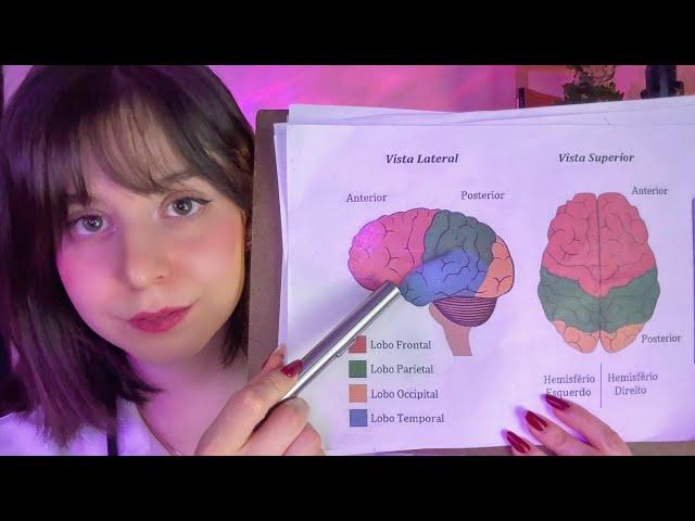 ASMR | Examinando suas funções cerebrais