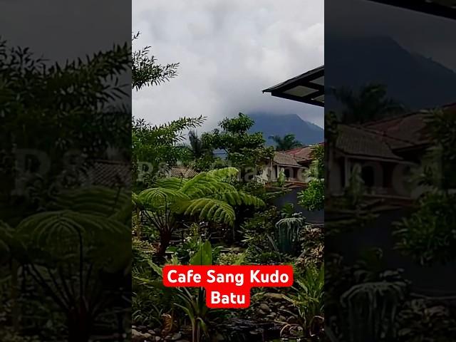 Kuliner Cafe Hits Sang Kudo Batu Nuansa Alam‼️#shorts #shortvideo #kuliner #cafe