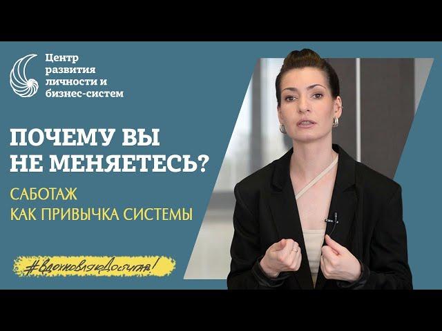 Как добиться системных изменений. 5 правил. Скачать гайд по работе с системами. Гомеостаз Морфогенез