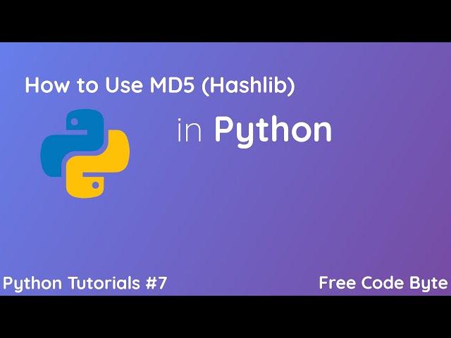 How to use MD5 (Hashlib) in Python - Free Code Byte