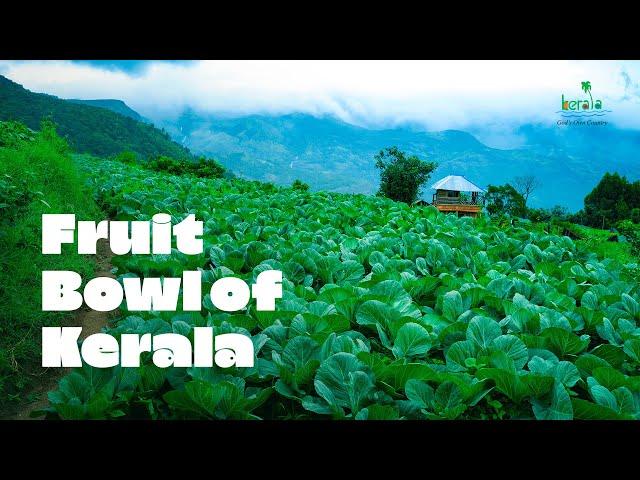 An Idyllic Farm Village in the Hills | Kerala Tourism