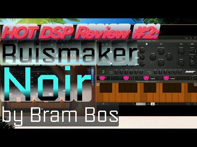 HOT DSP Review #2: Ruismaker Noir by Bram Bos (in-depth review)