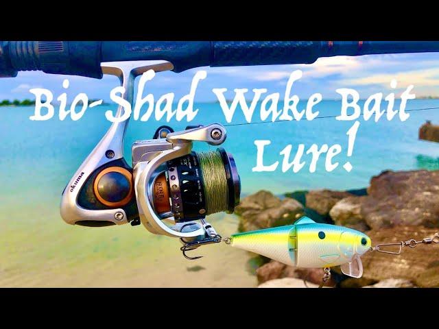 FishLabs Bio Shad Wake Bait Lure!