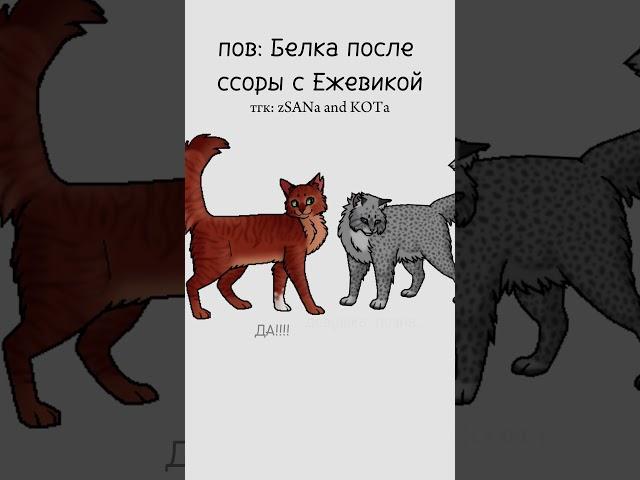 Коты Воители Огнезвёзд, Белка, Уголёк и Ежевика#warriorcats #котывоители