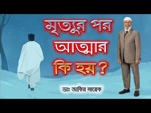 রুহ কি ? দেহের সাথে রুহ সম্পর্ক কি ? মৃত্যুর পর আত্মার কি হয় ? Dr. Zakir Naik