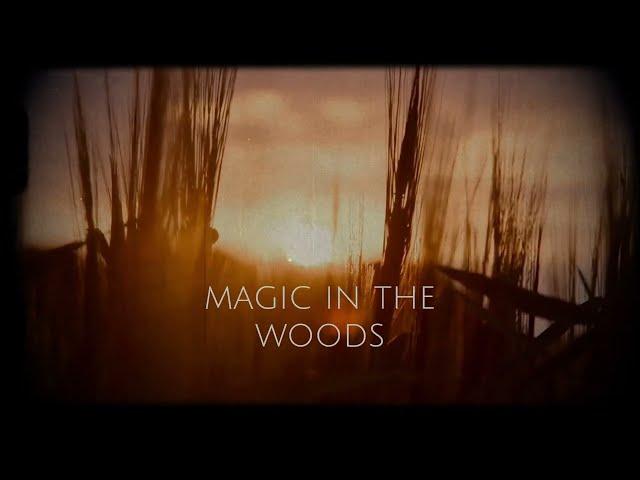 magic in the woods ~ amarice