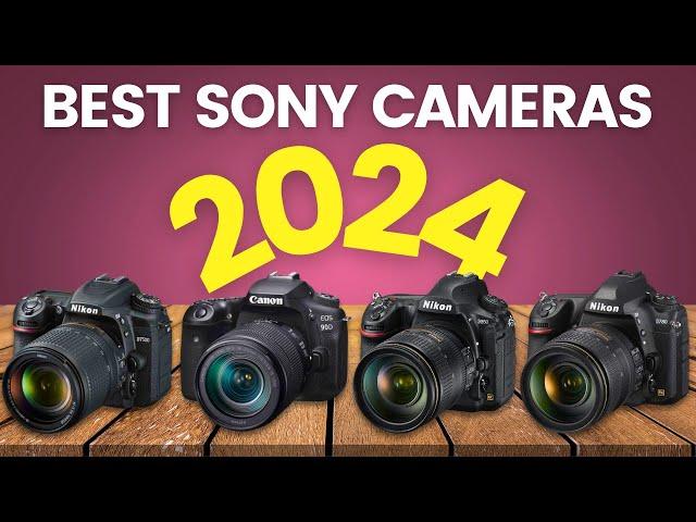 5 Best Sony Cameras 2024