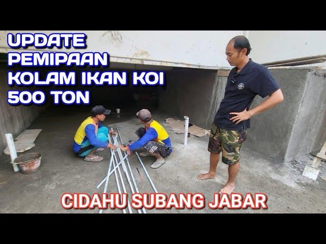 UPDATE PEMIPAAN KOLAM IKAN KOI 500 TON | SUBANG JAWA BARAT