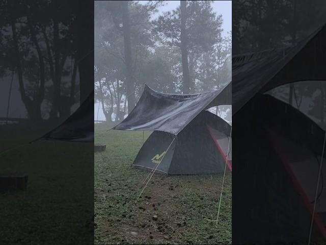 Heavy Rainstorm Camping [ solo camping in heavy rain, rain sounds ] #campinginheavyrain #shorts