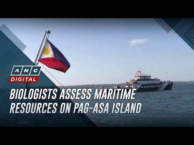 Marine biologists assess maritime resources on Pag-asa Island | ANC