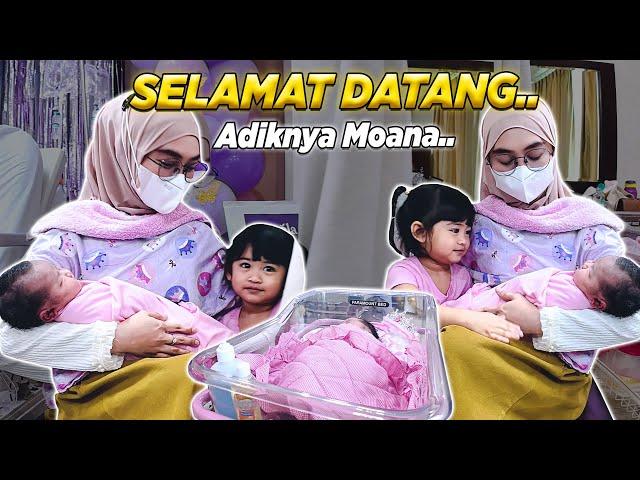 Exclusif! AKHIRNYA MOANA PUNYA ADIK..