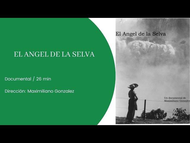 EL ANGEL DE LA SELVA