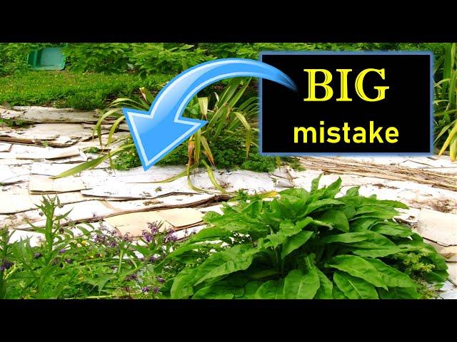 Don't Mulch With Cardboard  - Find out why