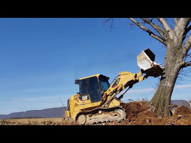 Fence row tree removal  953 d track loader