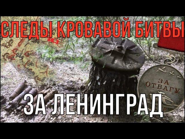 Горы старых боеприпасов и снарядов среди леса. Страшные находки по войне.