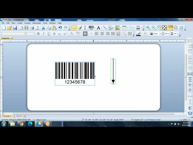 Using the Right Barcode & the Right Size: BarTender Barcoding Software Demo