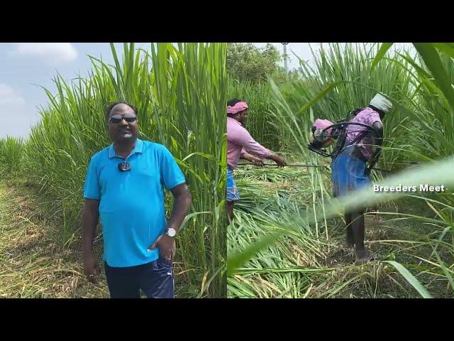 10 நிமிடத்தில் 750 கிலோ பசுந்தீவனம்? 750 kg green fodder in 10 minutes?