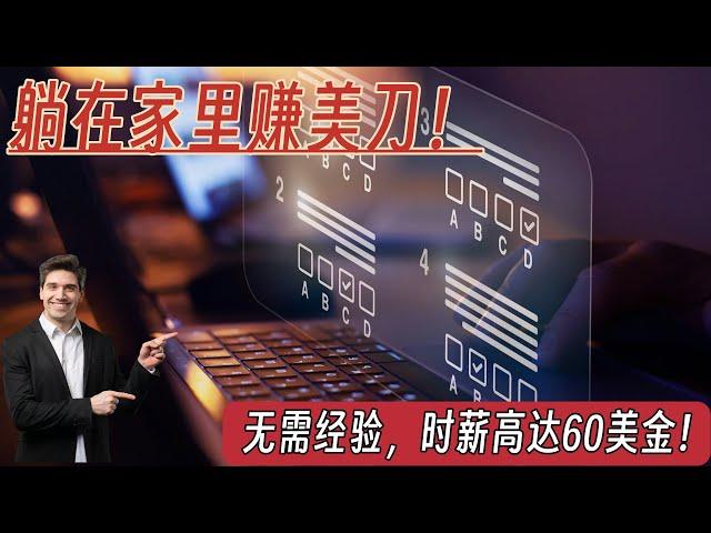 「网络兼职赚钱」人人都可以参与的低门槛在线兼职工作：无需任何相关经验，不要求学历和年龄，只需要有一定英语基础 | 时薪最高可达60美金！