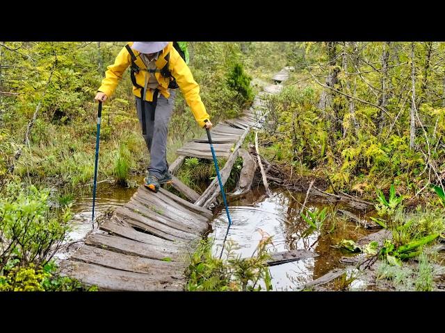 Discovering the West Coast Trail | Silent Hiking for 7 Days