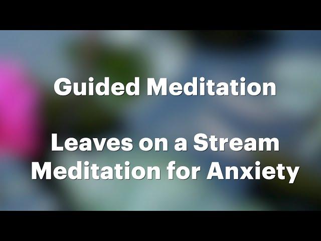 Leaves on a Stream Meditation for Anxiety