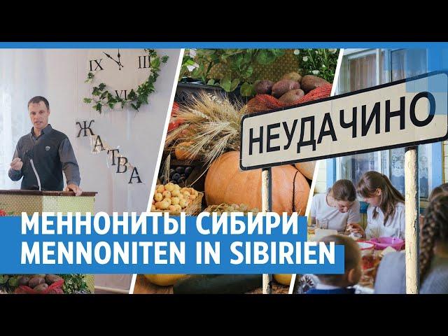 Mennonite community: Germans in Siberia / Die Mennonitische Gemeinde: Deutsche in Sibirien | NGS.RU