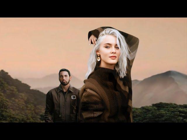 Eminem, Zara Larsson - I'm So Sorry (Remix by Jovens Wood)