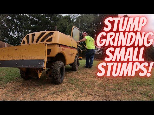 Stump Grinding Seven Stumps Using The Rayco RG50 Stump Grinder