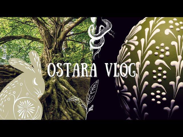 Celebrate the Spring Equinox | OSTARA ritual ideas | Witch Vlog