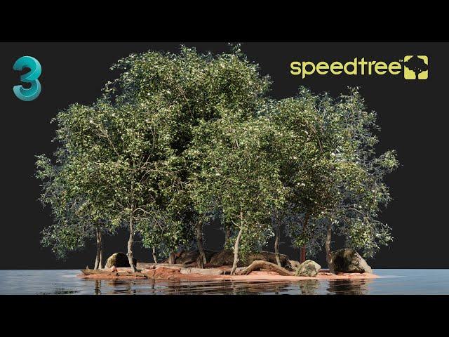 How To Export Growing Tree Animation From SpeedTree to 3ds Max 2022 ( With Script )