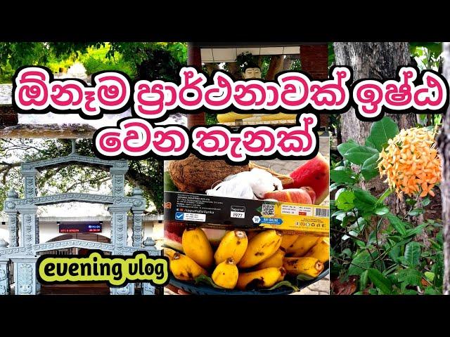 වැවක් ළඟ ගෙවුණු සොඳුරු මොහොතක් || evening vlog ||  day in my life ||