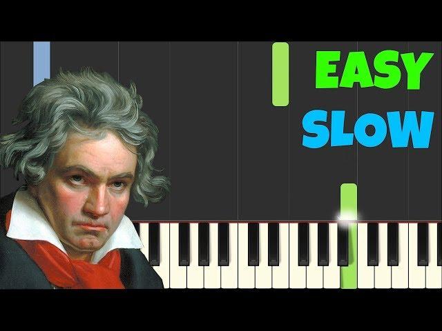 HOW TO PLAY Für Elise for Beginners Slow [Easy Piano Tutorial] (Synthesia)