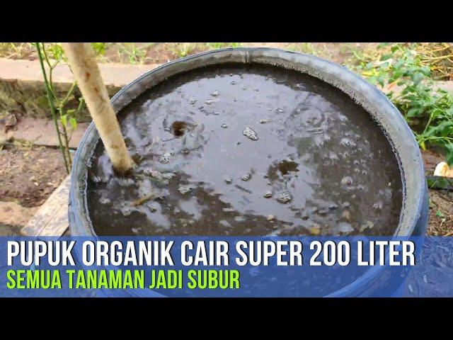 MEMBUAT PUPUK ORGANIK CAIR (POC) SUPER  LANGSUNG 200 LITER!!!