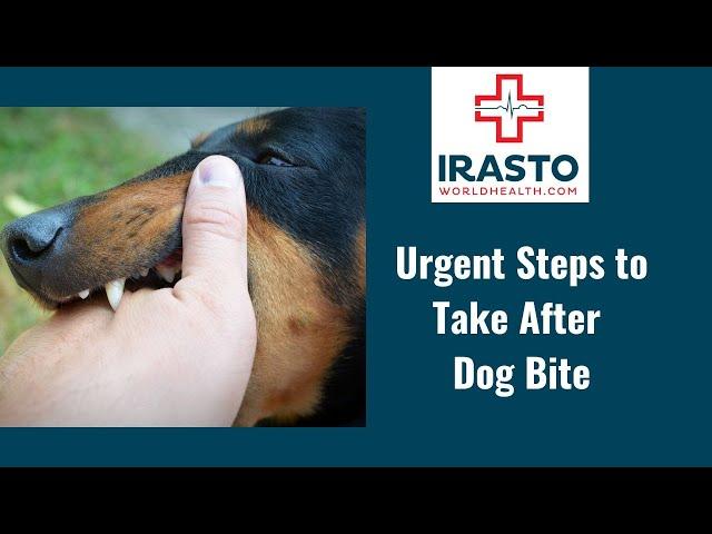 Urgent Steps to Take After a Dog Bite: Prevent Rabies and Ensure Your Safety!