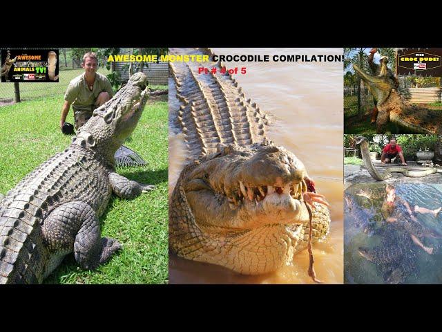 Aussie CROCODILE MAN CROCODILE Attack COMPILATION! Top 10 CROCDILES CROC VS Croc Dude YOUTUBE 4 of 5