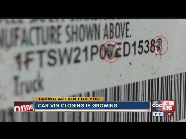 Thieves are stealing vehicles and cloning the VIN numbers costing innocent car buyers their rides