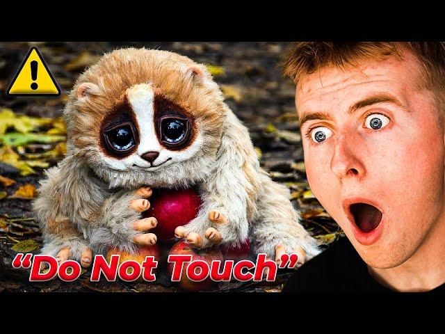 Cute Animals That Can KILL You!