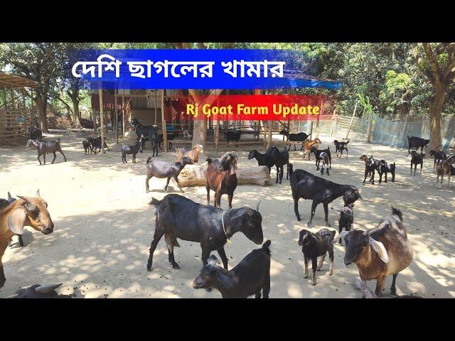 দেশি ছাগলের খামার প্রকল্প | goatfarming | Goat Farm | Rj goat farm bahirgachi Nadia