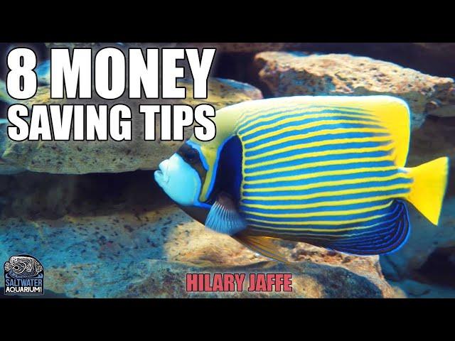 8 Money SAVING Tips for Saltwater Aquariums - Hilary Jaffe